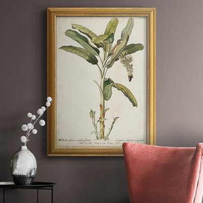 Toile encadrée haut de gamme Banana Palm I - prête à être accrochée