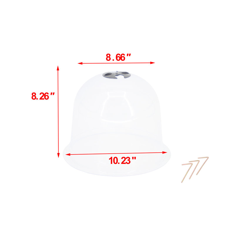 Mini serre de 8 1/4 po de hauteur moyenne en plastique réutilisable, plante cloche de jardin