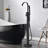 1 Tub Filler with Hand Shower and Diverter Tub Faucet