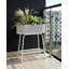 Plant Stand-1096207655