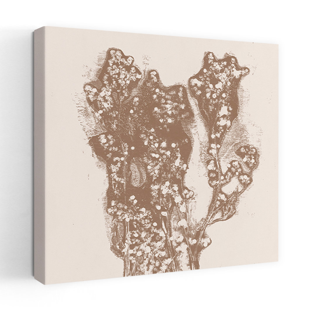 Sepia Botanical Bloom Abstract Delicate Minimalist Nature Plant Wall Art Print