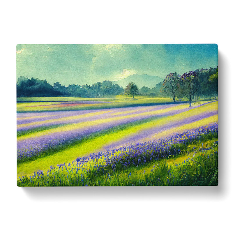 Serene Bluebell Field Vol.3 - Wrapped Canvas, 35cm H x 50cm W x 3cm D