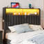  Tête de lit très grand avec rangement, hauteur réglable, tête de lit tapissier en velours avec lumières à DEL et station de charge, tête de lit autoportante moderne, facile à assembler, noir-984896307-984896310