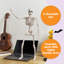 2 PCS 24” Halloween Skeleton Decor