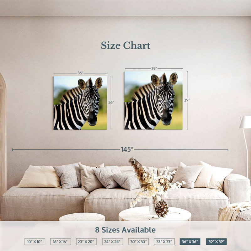 Brampt Staring Zebra, 36" H x 36" W