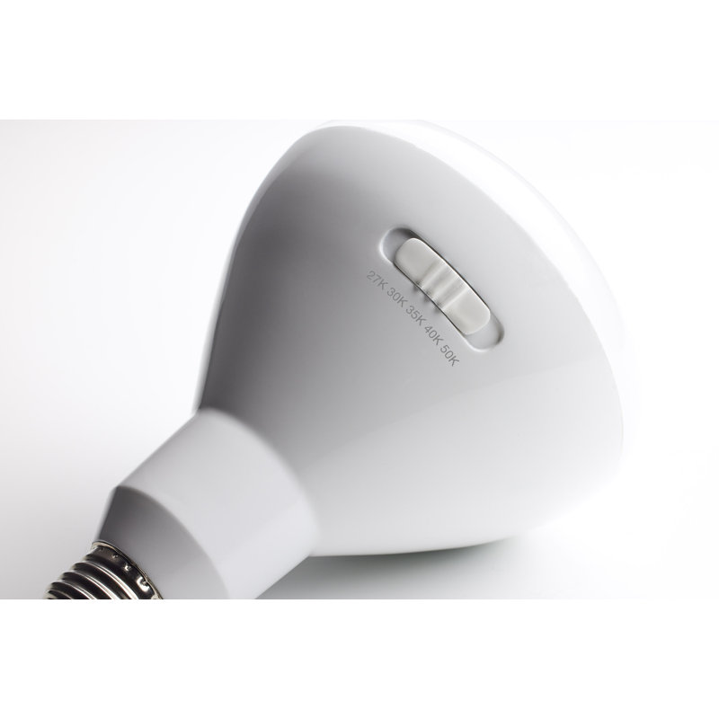 13 Watt White LED Bulb