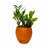 Intelligent Self-Watering Terracotta Planter Pot for All Plants and Spaces