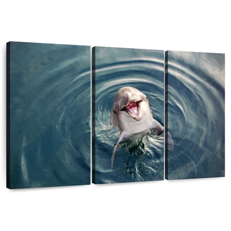 Brampt Excited Dolphin, 36" H x 57" W