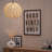 Adharsh 1 - Light Sphere Round Lamp Shade