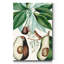 Reproduction d’art sur toile tendue « Turpin tropical fruit V »-1121178574