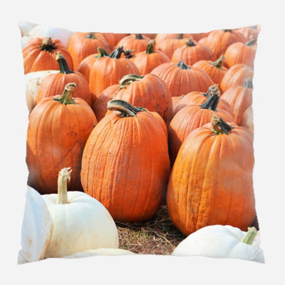  Coussin intérieur / extérieur Pumpkins