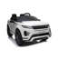 Voiture Range Rover Evoque-62260387