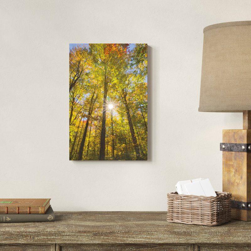 Feuillage d'automne Sunburst III, H 18 po x l 12 po
