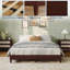 Full/Queen 9" Low-Profile Wood Platform Bed Frame with Slats, 700 lbs Capacity, Noise-Free, No Box Spring Needed for Bedroom-204286146