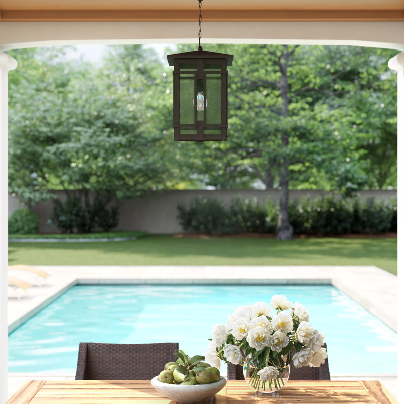 Tucker 1-Light Outdoor Hanging Lantern