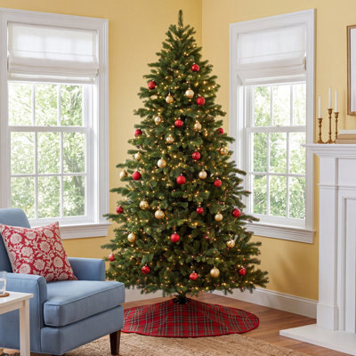 Sapin de Noël Douglas