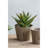 Set Of 3 Thornton Flower Planter, L:8.3X8.3X6.5", M:6.8X6.8X6.1", S:5.3X5.3X5.1"