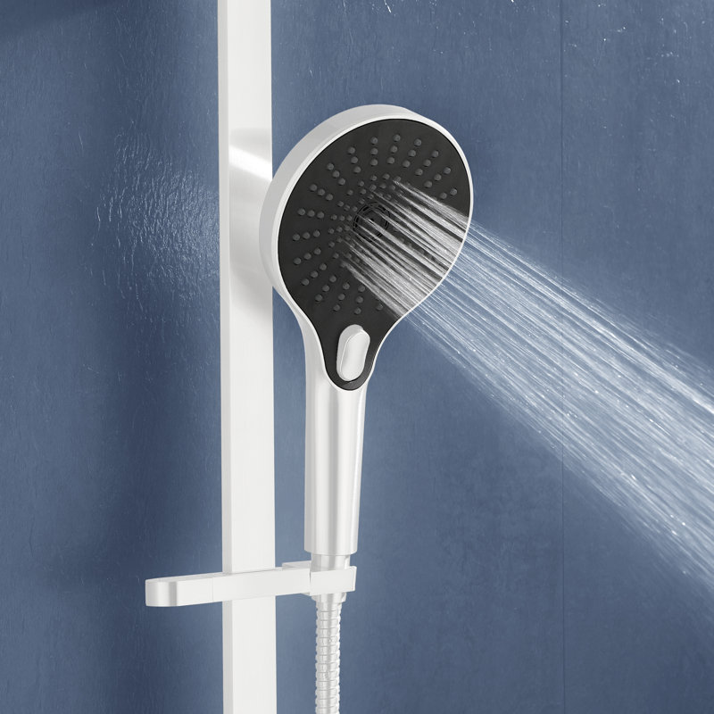 Pomme de douche à main Topcraft avec barre coulissante en acier inoxydable