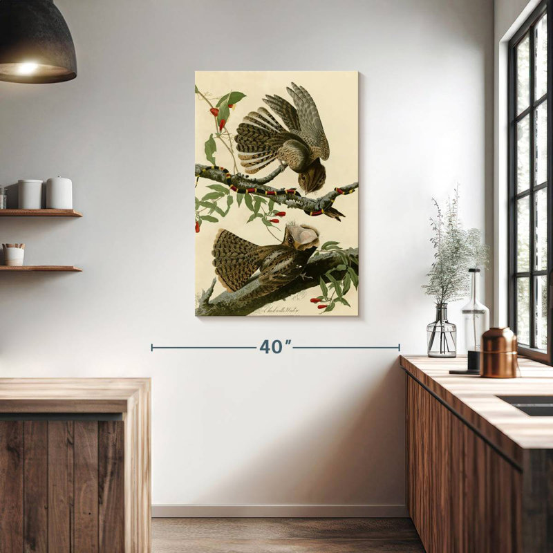 Brampt Chuck-Will's Widow, 39" H x 26" W