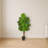 Monstera Artificial Tree UV Resistant