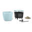 Quadro Premium Pot Planter-16493064-16493067