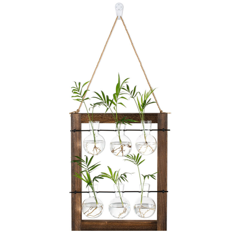 Fernwood Hanging Planter