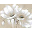 White Abstract Wild Flowers Print On Canvas-98693959