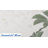 Savannah 2" x 2" Calacatta Gold Satin Porcelain Mosaic Floor and Wall Tile