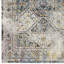 Success Jacinda Distressed Vintage Floral Persian Medallion Area Rug in Multicolored-222797319