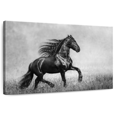 Frison noir