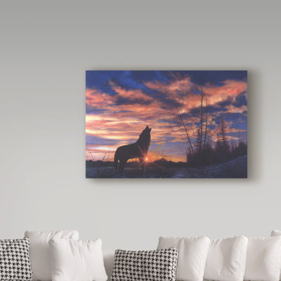 " Sky Wolf " by Bill Makinson