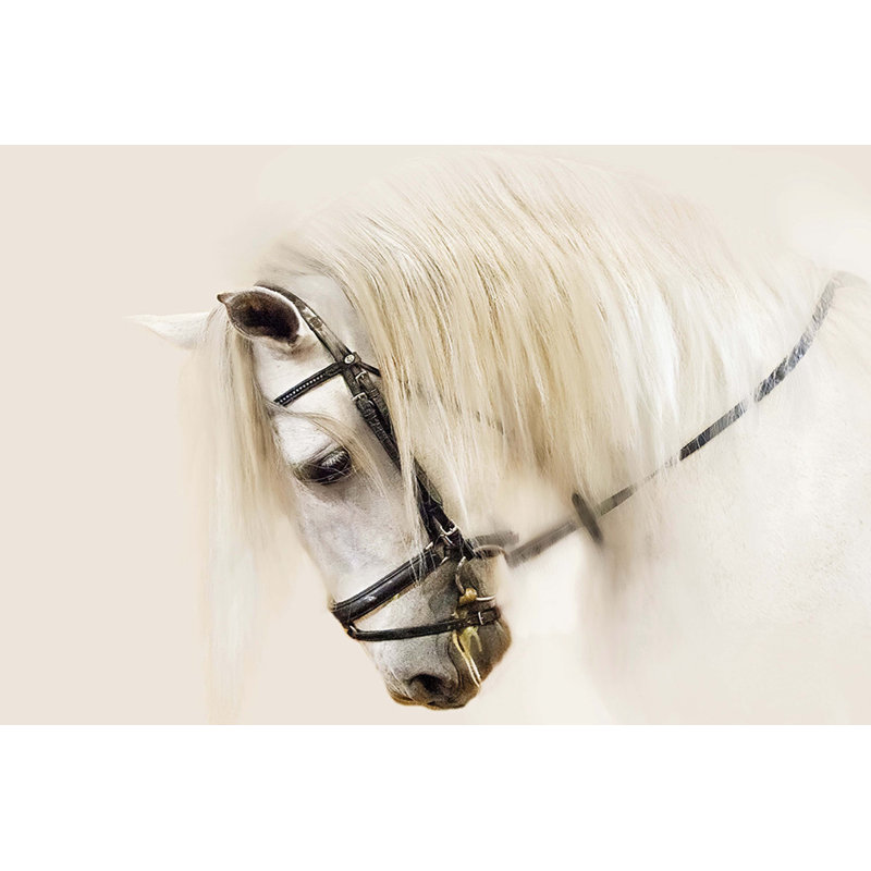 " Purebred II " by Ozana Sturgeon, 32" H x 48" W x 1" D