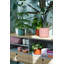 B.For Pot Planter-70004574-70004576