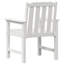 Garden Chair Polyethylene Outdoor Seating Modern Patio Furniture Lawn-1734799899