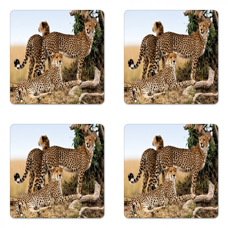 Sous-verre africa