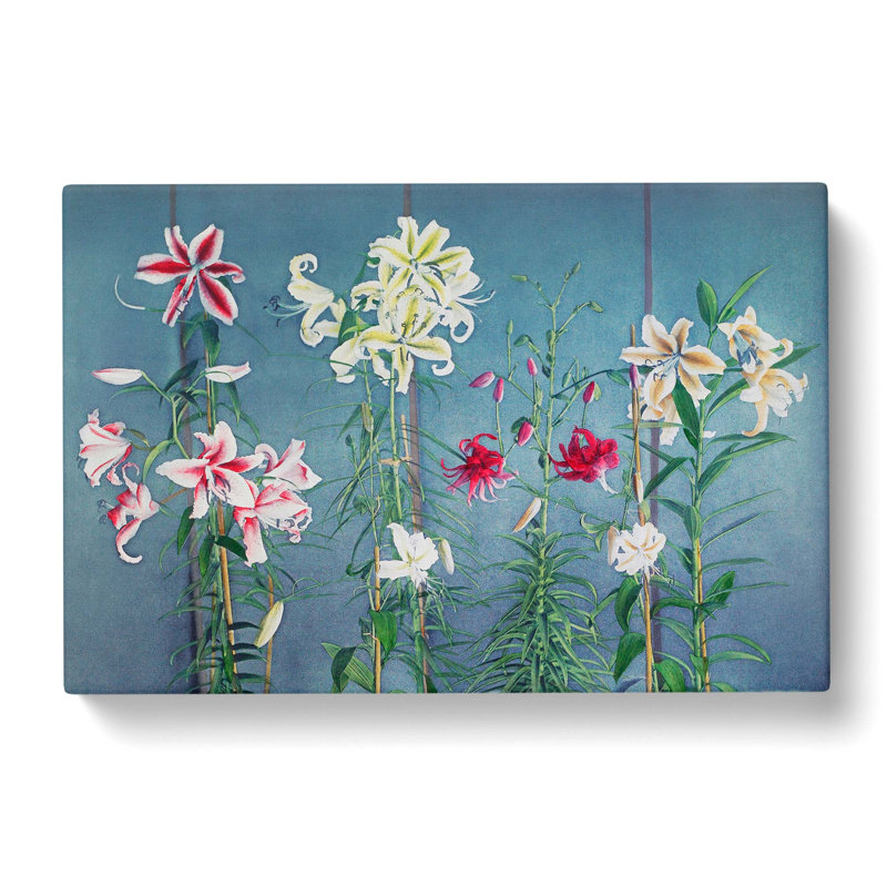 Growing Lilies by Kazumasa Ogawa - Wrapped Canvas Painting, 50cm H x 76cm W x 3cm D