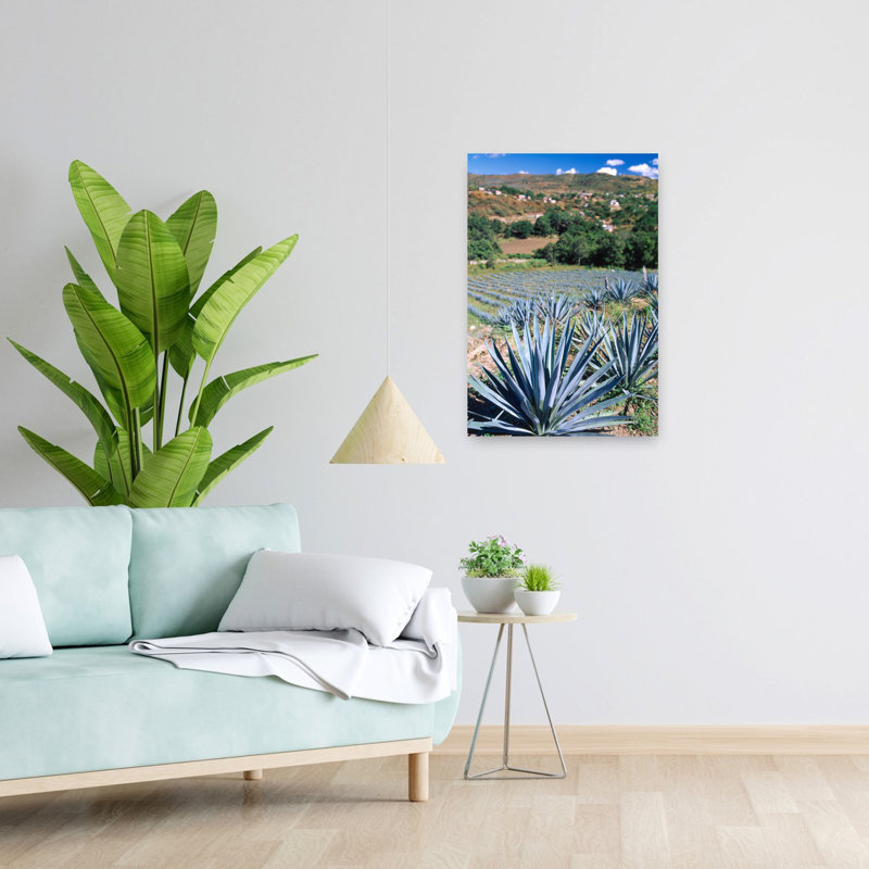 Téquila, agave, culture, Mexique, paysage contemporain contemporain, art, H 24 po x l 16 po