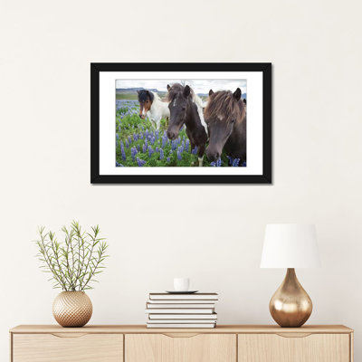 Trois chevaux dans une prairie, par Gareth McCormack, impression sur toile tendue sur châssis