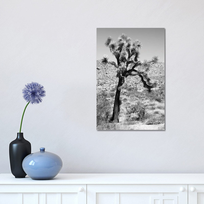 Joshua Trees Desert II by Philippe Hugonnard - Wrapped Canvas Print, 30.48 cm H x 45.72 cm W