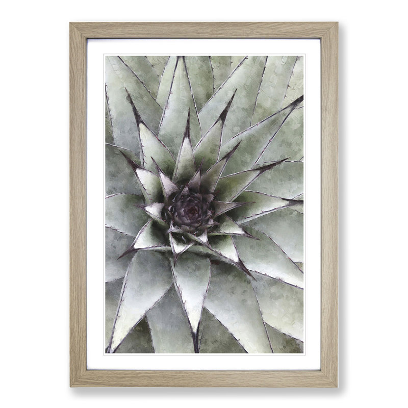 The Succulent Plant - Picture Frame Painting, 36cm H x 27cm W x 2cm D, Oak Framed
