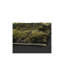 Flemish Shag Green Area Rug-1125065564