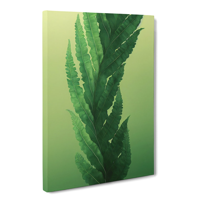 Douglassville Fern Leaf In Watercolour Vol.1 - Wrapped Canvas, 50cm H x 35cm W x 3cm D