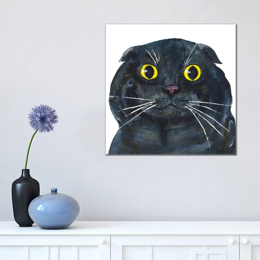Fat Scottish Fold Black Cat by Alexey Dmitrievich Shmyrov - Wrapped Canvas Print