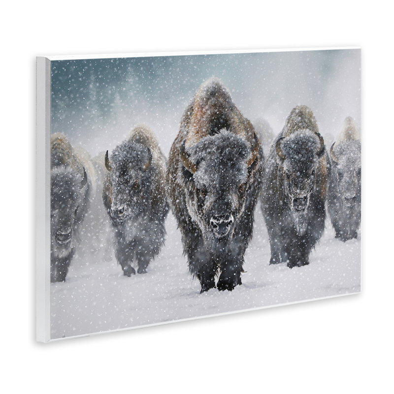 Art mural indomptable «Bison in Snow» par Mark Kelso, H 10 po x l 15 po