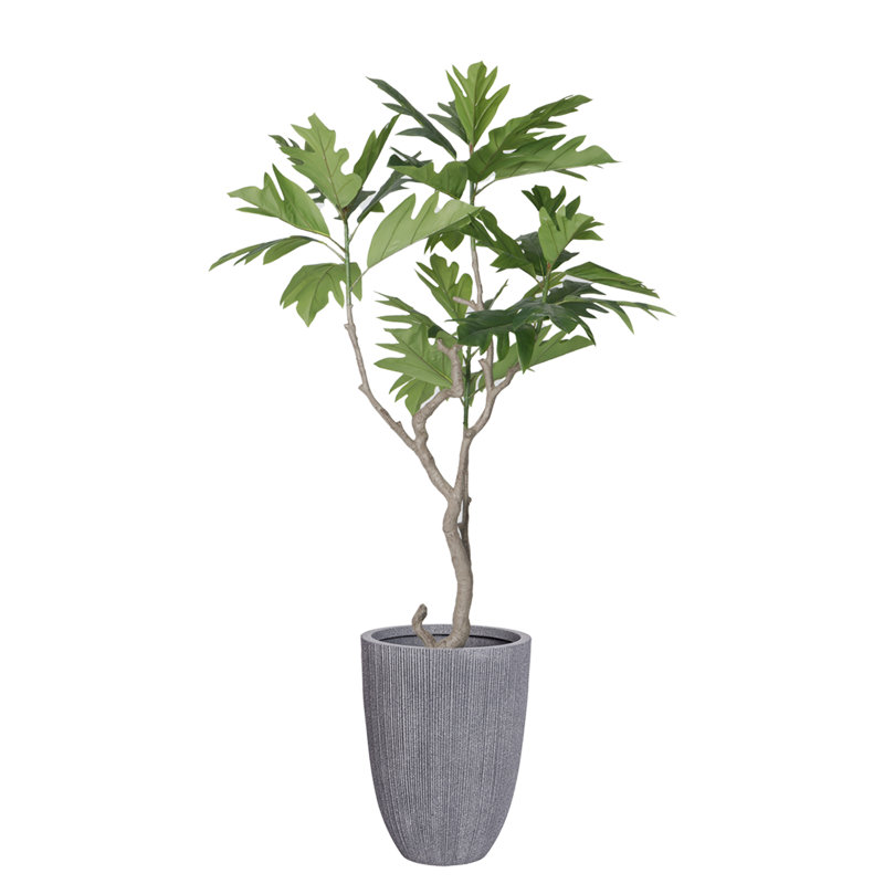 78.1'' Faux Fiddle Tree Tree in Pot