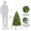 Sapin de Noël pin non éclairé-508809629