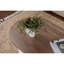 Teiah Coffee Table