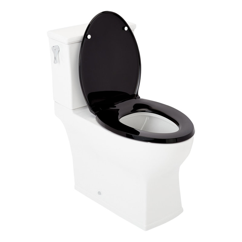 Carraway 1.28 GPF Two Piece Elongated Toilet, Black/White/Polished Chrome