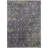 Machine Washable Indoor/Outdoor Chantille ACN2359 Traditional Rug-688489596