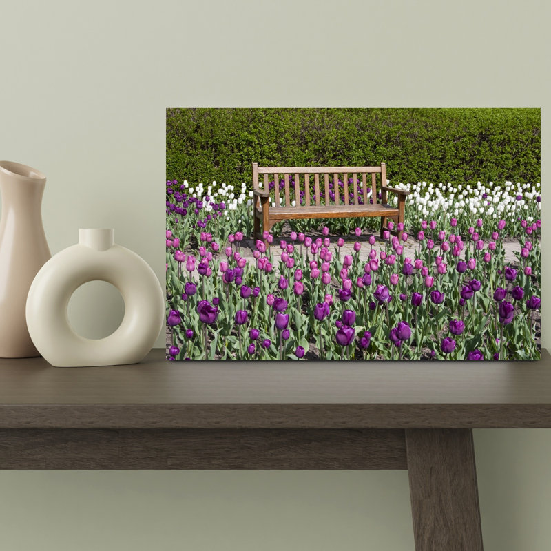 Empty Bench In Tulips Garden Cantigny Park Wheaton Illinois USA by Richard Day - Wrapped Canvas Print